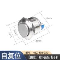 昶涟 金属按钮开关 黄铜镀镍按钮开关 19mm高头 10个