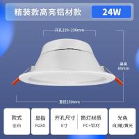 佛山照明FSL筒灯全白8寸24W开孔22-24CM+ 白光(6500K)