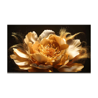 创维(Skyworth) 75V900F 液晶电视机 一级能效 75英寸 超高清4K 480HZ高刷护眼