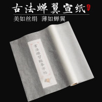 玉水湖古法雁皮蝉翼长卷超薄扎花宣纸透明小楷瘦金体国画书法创作临摹白描作品半生熟纸 白色20m长卷48cm