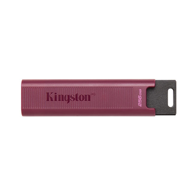 金士顿 (Kingston) 256GB USB3.2大容量固态U盘 DTMAXA 读速高达1000MB/s 单位:个