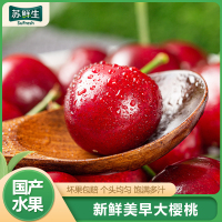 [苏鲜生]山东美早大樱桃 车厘子 J级 净重4.5斤装 应季车厘子 新鲜水果 酸甜可口