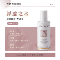 独特艾琳去味留香衣物香氛衣服喷雾护衣免洗除臭除静电 我的少年250g
