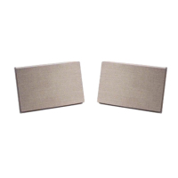 极米XGIMI SOUND极米影院无线音响 2(单只装)无线WIFI音响 蓝牙音响 1-4个自由组合 极米SOUND