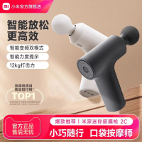 小米(MI)迷你筋膜枪2C 米家mini筋膜枪肌肉按摩枪迷你深层按摩器背部按摩仪