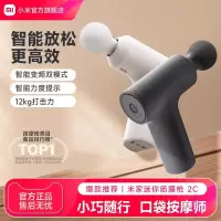 小米(MI)迷你筋膜枪2C 米家mini筋膜枪肌肉按摩枪迷你深层按摩器背部按摩仪