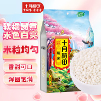 十月稻田 糯米 2斤 (端午食材 粽子米 黏米 东北 五谷 杂粮 真空装)