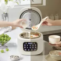 帅康sacon电饭煲家用智能 多功能低糖珐琅球釜内胆 24H智能预约 10大菜单 3L钛涂层球釜煮粥锅