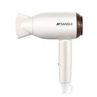 山水S-CF3006电吹风