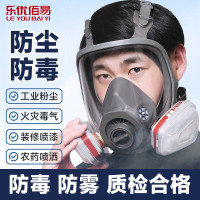 乐优佰易防尘全面具LYBY-950