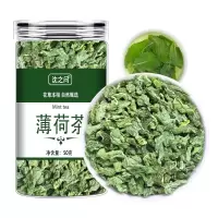 薄荷茶叶干薄荷叶新鲜可食用泡茶水喝的东西清凉凉茶花茶夏季茶叶
