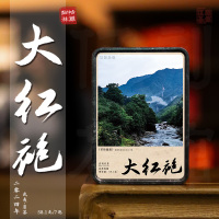 伍刻[武夷岩茶·小酌微醺]日尝大红袍 花香果香岩韵正宗吴三地174.3g 3袋装