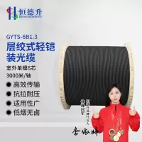 恒德升 HDS-A497S-GYTS-6B1.3-3KM 室外层绞式轻铠装光缆 单模6芯 3000米