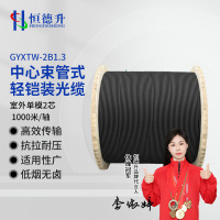 恒德升 HDS-A497S-GYXTW-2B1.3-1KM中心束管式轻铠装光缆 单模2芯 8mm外径黑色1000米