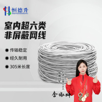 恒德升 HDS-A494SCAT6A-H1 室内超六类非屏蔽网线 CAT.6A无氧铜非屏蔽双绞线 305米/箱 灰色