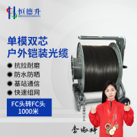 恒德升 铠装光缆HDS-A497S-FC-1KM 户外通信基站应急抢修放缆车缆线单模双芯 FC头转FC头 1000米