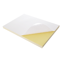 香菲兔 Xfertu-t13 170mm*100mm*1mm 标签胶贴 银色 单位:张