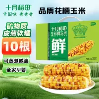十月稻田 花甜糯玉米4.4斤(220g*10根) 杂粮礼盒 早餐零食 微波即食