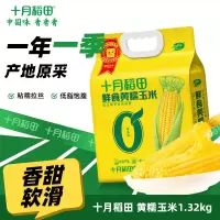 十月稻田鲜食黄糯玉米1.32kg(220gX6)东北玉米 鲜食黄糯玉米