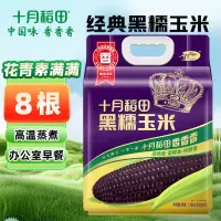 十月稻田黑糯玉米1.76kg