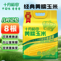 十月稻田黄糯玉米1.76kg软糯