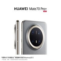 HUAWEI Mate 70 Pro+ 16GB+512GB 鸿蒙NEXT先锋版 金丝银锦 鸿蒙AI 红枫原色影像 高亮钛玄武架构 华为鸿蒙智能手机