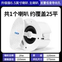 先科(SAST)G4 无线蓝牙吸顶音响吊顶天花喇叭套装家装商店铺餐厅超市家用重低音同轴主机