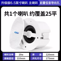 先科(SAST)G4 无线蓝牙吸顶音响吊顶天花喇叭套装家装商店铺餐厅超市家用重低音同轴主机