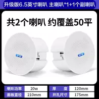 先科(SAST)G4 无线蓝牙吸顶音响吊顶天花喇叭套装家装商店铺餐厅超市家用重低音同轴一拖一