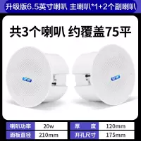 先科(SAST)G4 无线蓝牙吸顶音响吊顶天花喇叭套装家装商店铺餐厅超市家用重低音同轴一拖二