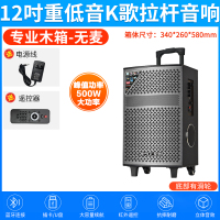 夏新(AMOI)户外音响SA-802 无咪版