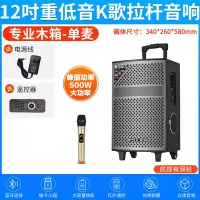 夏新(AMOI)户外音响SA-802 单咪版