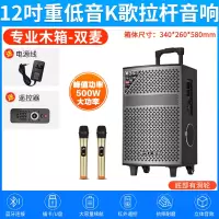 夏新(AMOI)户外音响SA-802 双咪版