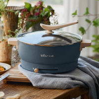 小熊(bear) 电火锅鸳鸯锅5升容量 涮羊肉牛肉多功能宿舍锅电热锅拔杆控温
