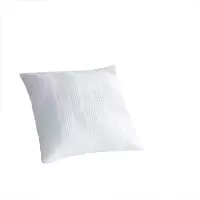 梦洁家纺 ins风时尚抱枕 45*45 450g