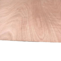 千优美(Qianyoumei)阻燃板 B1级基层板打底多层板建筑工程包装板工地模板工地木板 1220x2440x12mm