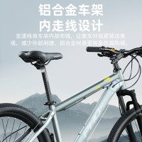 凤凰(PHOENIX) 21速26寸山地自行车 禧玛诺 ST580(辐条轮)-灰黄