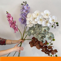 企采严选 欧式轻奢秋色系蝴蝶兰九头仿真花高颜值客厅餐桌假花插花道具装饰 9头蝴蝶兰白色