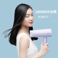 飞科(FLYCO)FH6277电吹风机家用大功率吹风筒负离子电风吹机吹飞可折叠1800W