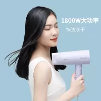 飞科(FLYCO)FH6277电吹风机家用大功率吹风筒负离子电风吹机吹飞可折叠1800W