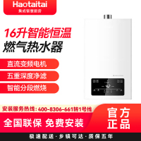 Haotaitai燃气热水器16T01 16升智能恒温燃气热水器直流变频电机五重深度净滤智能分段燃烧