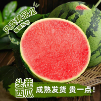 企采严选 头茬麒麟西瓜水果新鲜无籽一颗