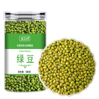 东北绿豆新鲜干货可发芽皮薄颗粒饱满农家新货大颗粒绿豆糕煮粥