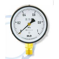 布莱迪 压力表(Y-60~200)(0-25mpa量程可定制)