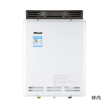 林内热水器RUS-24RFJ(L)(T)