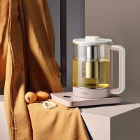 膳魔师 液体加热器(养生壶)800W EHA-1611E-SP