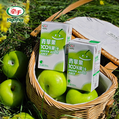 牵手(together)青苹果汁果汁饮品250ml*10盒
