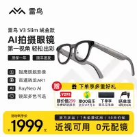 雷鸟RayNeo V3 Slim AI拍摄智能眼镜 蓝牙眼镜 镜架非平光镜 绒金(含充电盒)