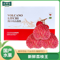 礼盒装 [苏鲜生] 顺丰空运 海南火山荔枝王 新鲜水果 甜美多汁 特大果 净重7.5斤装 45个左右 当季新鲜水果