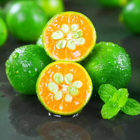 [西沛生鲜]海南小金桔新鲜水果 净重3斤 大果 青金桔柠檬 小青柑奶茶搭档橘子整箱